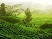 南方泵業攜手河北承德隆化縣簽署重大PPP項目