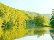 泵閥產(chǎn)品的網(wǎng)絡(luò)營(yíng)銷(xiāo)全面剖析之一